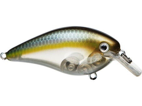 Strike King KVD Squarebill 2.5