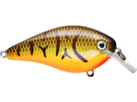 Strike King KVD Squarebill 2.5