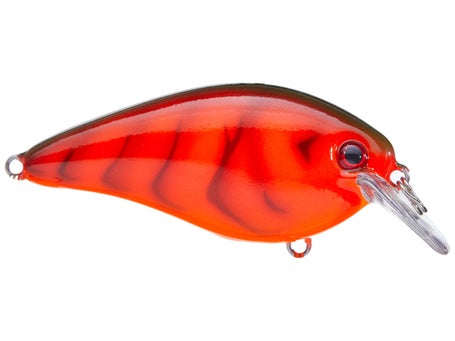 Strike King KVD Squarebill 2.5