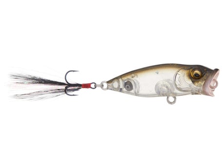 Megabass Baby Pop X BFS