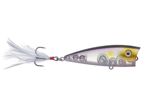 Strike King KVD Splash Popper