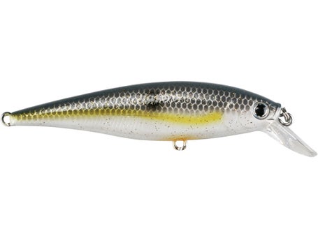 Lucky Craft Pointer Minnow 100mm
