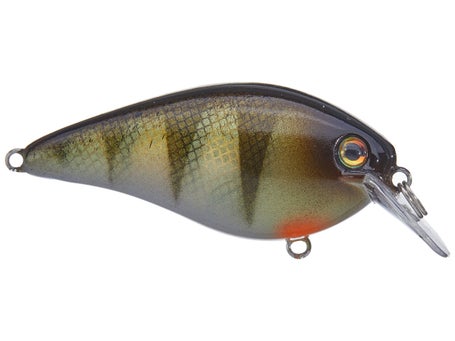 Strike King KVD Squarebill 2.5