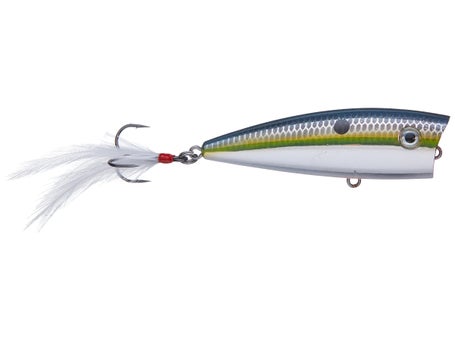 Strike King KVD Splash Popper