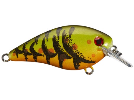 Strike King KVD Squarebill 2.5