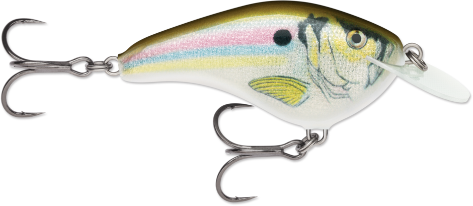 Rapala Ott's Garage Slim 06